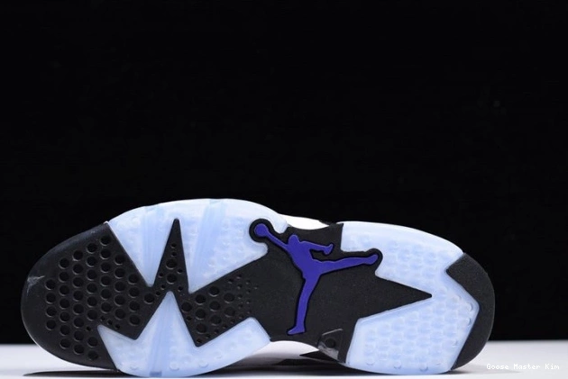 Flint Air CI3125-100 Grey Jordan 6 0723